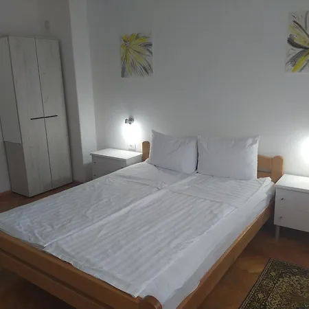 Linera Soko Banja