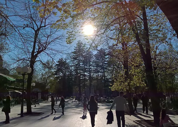 Privat bolig Linera Sokobanja